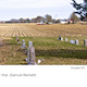 Arcadia 047: Hwy 70 (October)